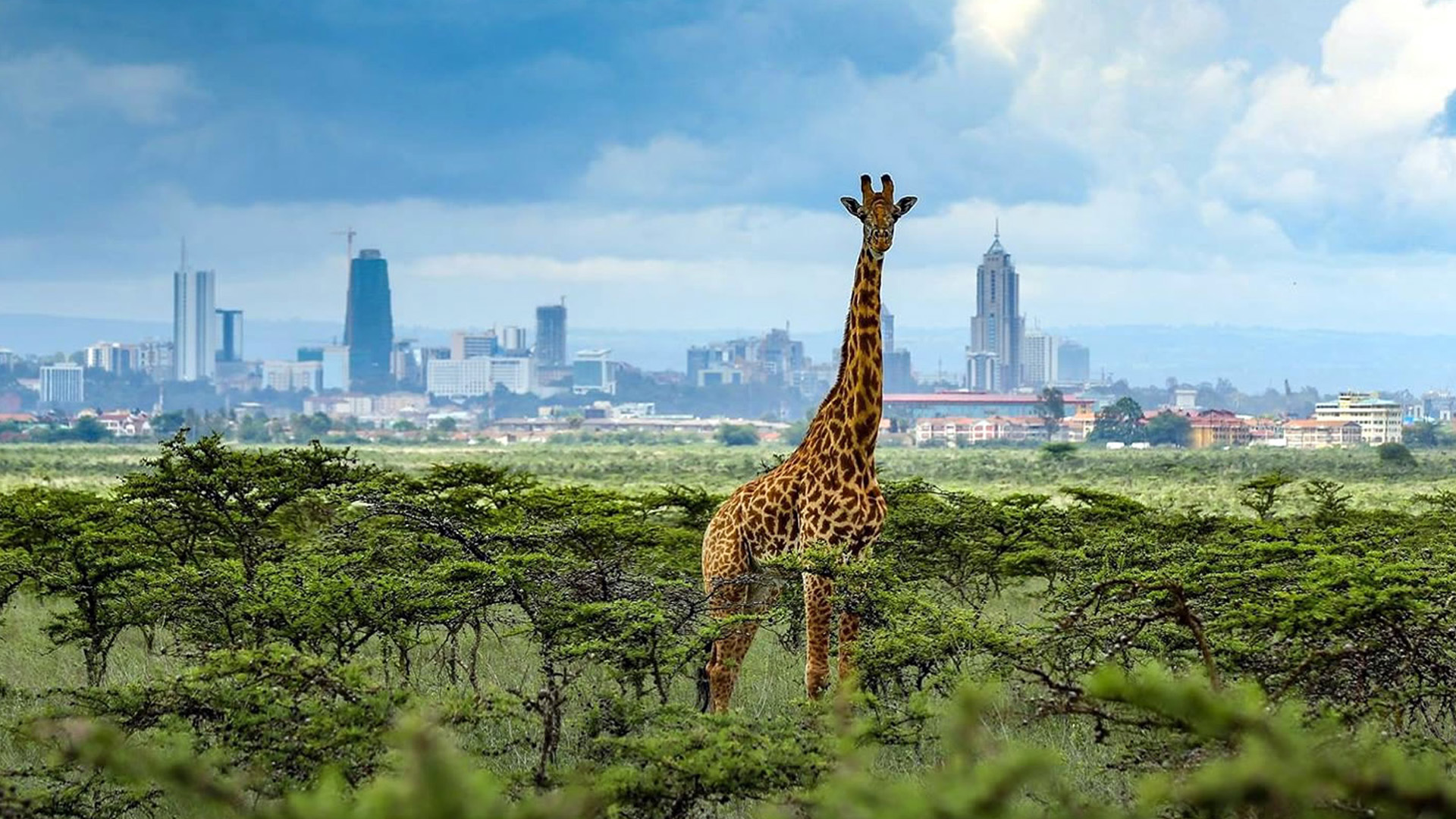 AI-inspired concept art for Kenya: Beyond the Postcard
